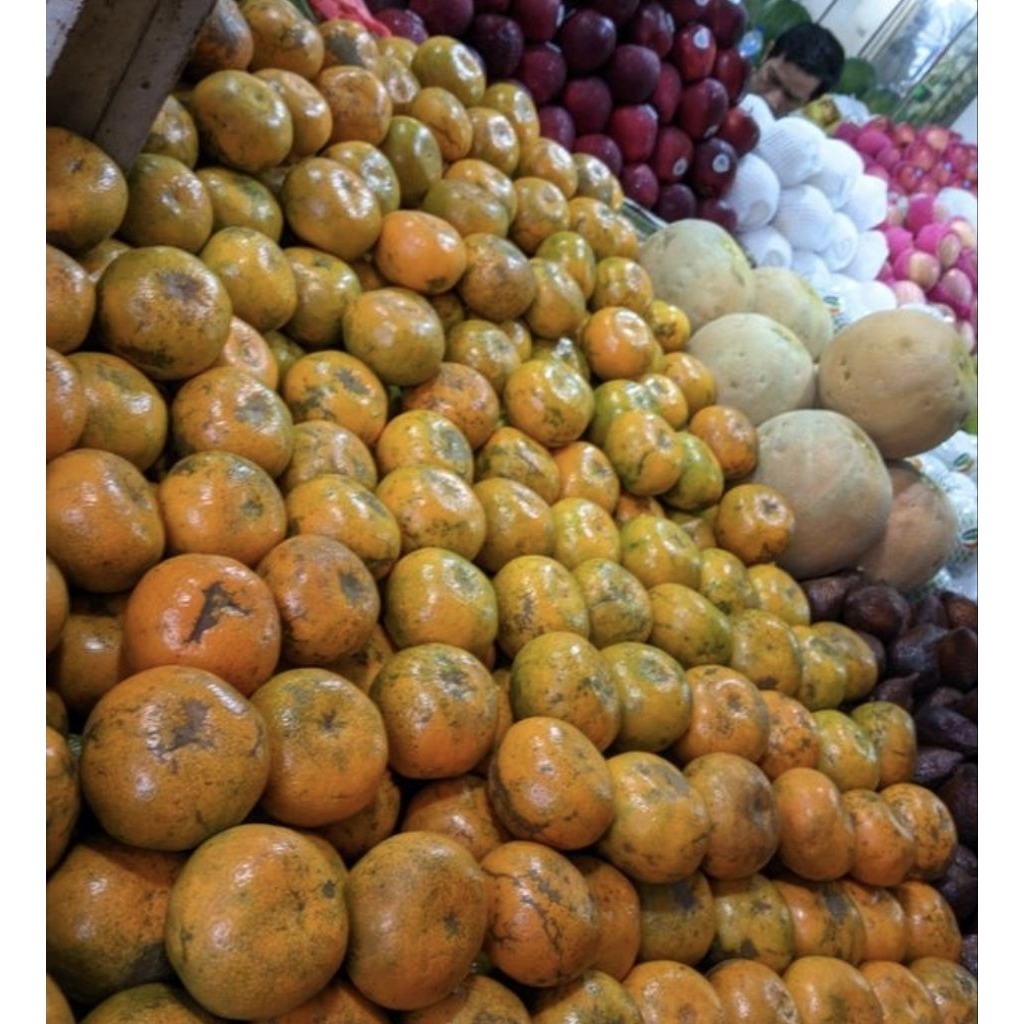 

jeruk medan besar isi 7-9