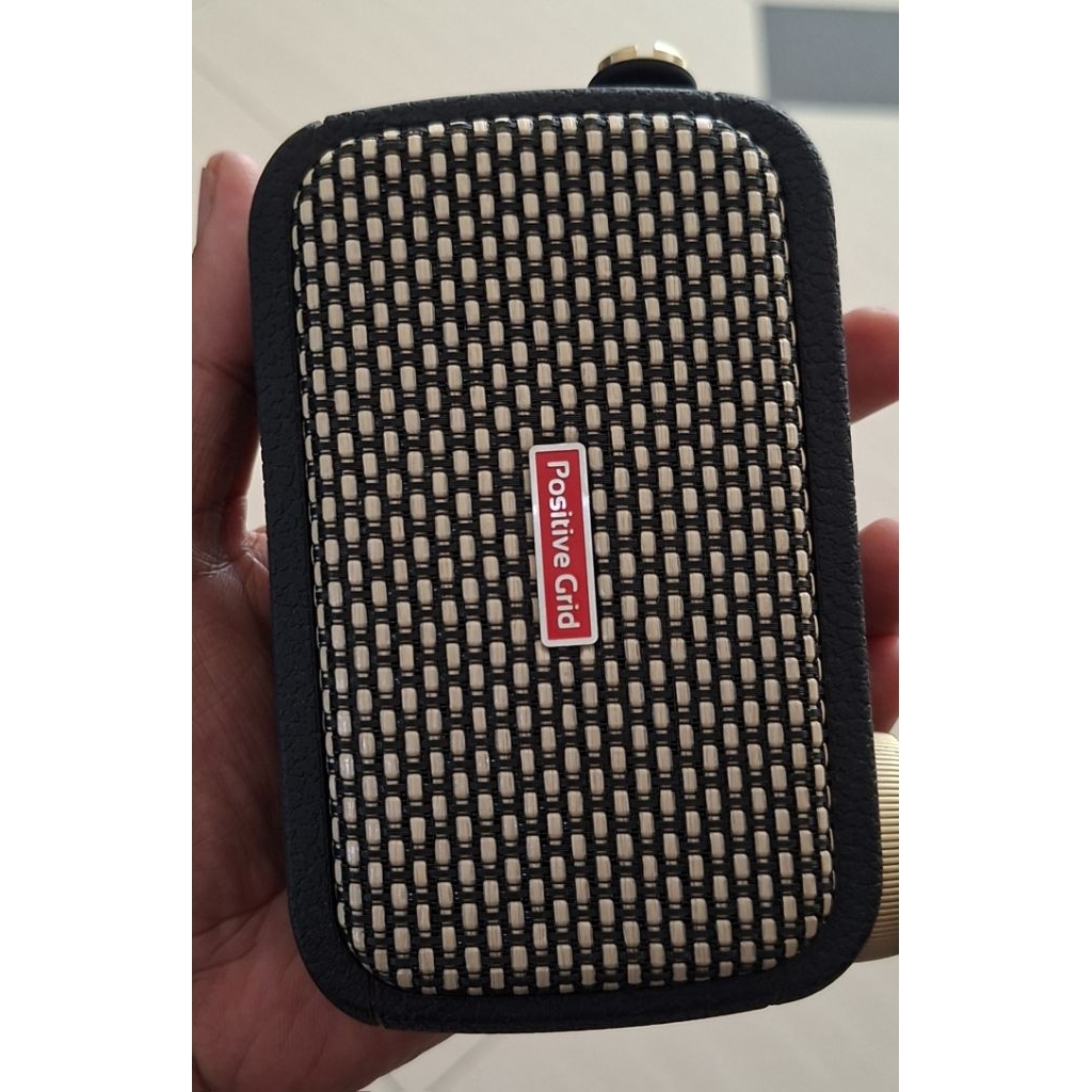 Amplifier Positive Grid