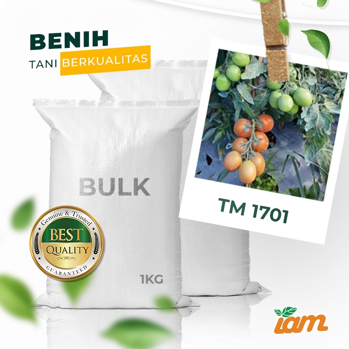 

BULK 1kg – tomat F1 (TM 1701)