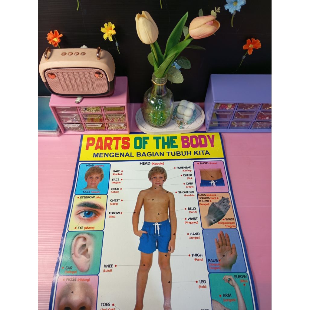 

[Aesthetic by fss.id] poster/gambar/tempelan dinding belajar solat/pertambahan/pembagian