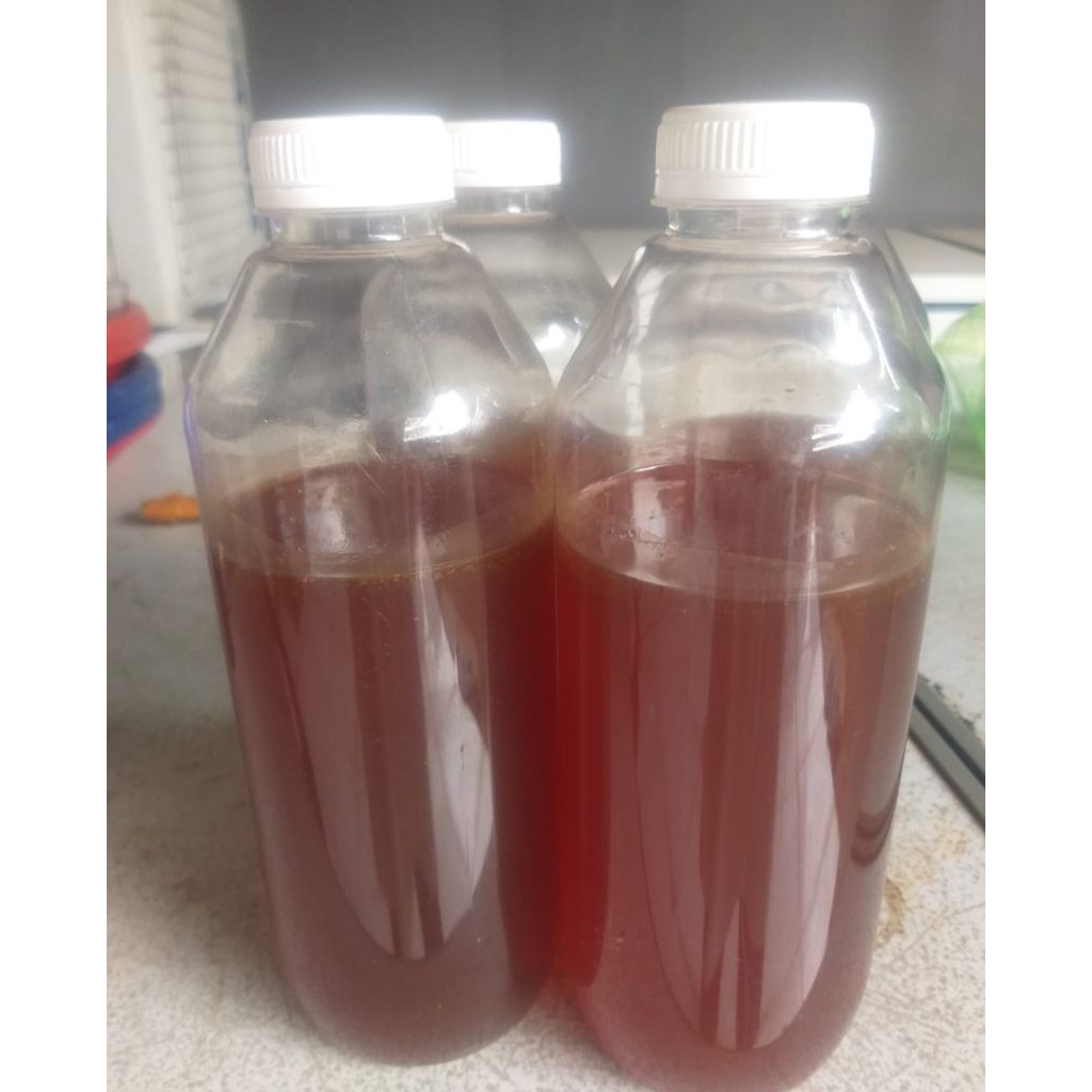 MADU HUTAN MADU ASLI MADU HUTAN AKASIA 1kg