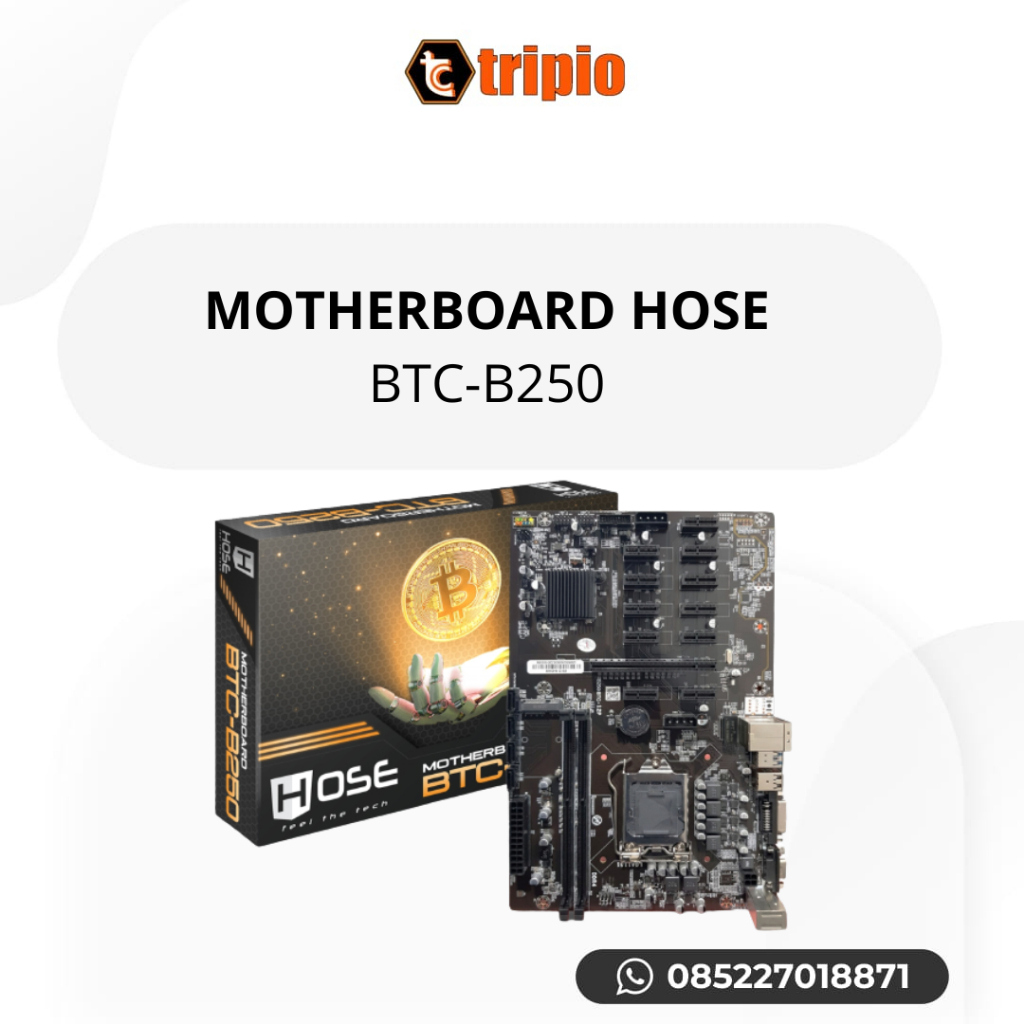 MOTHERBOARD HOSE BTC-B250