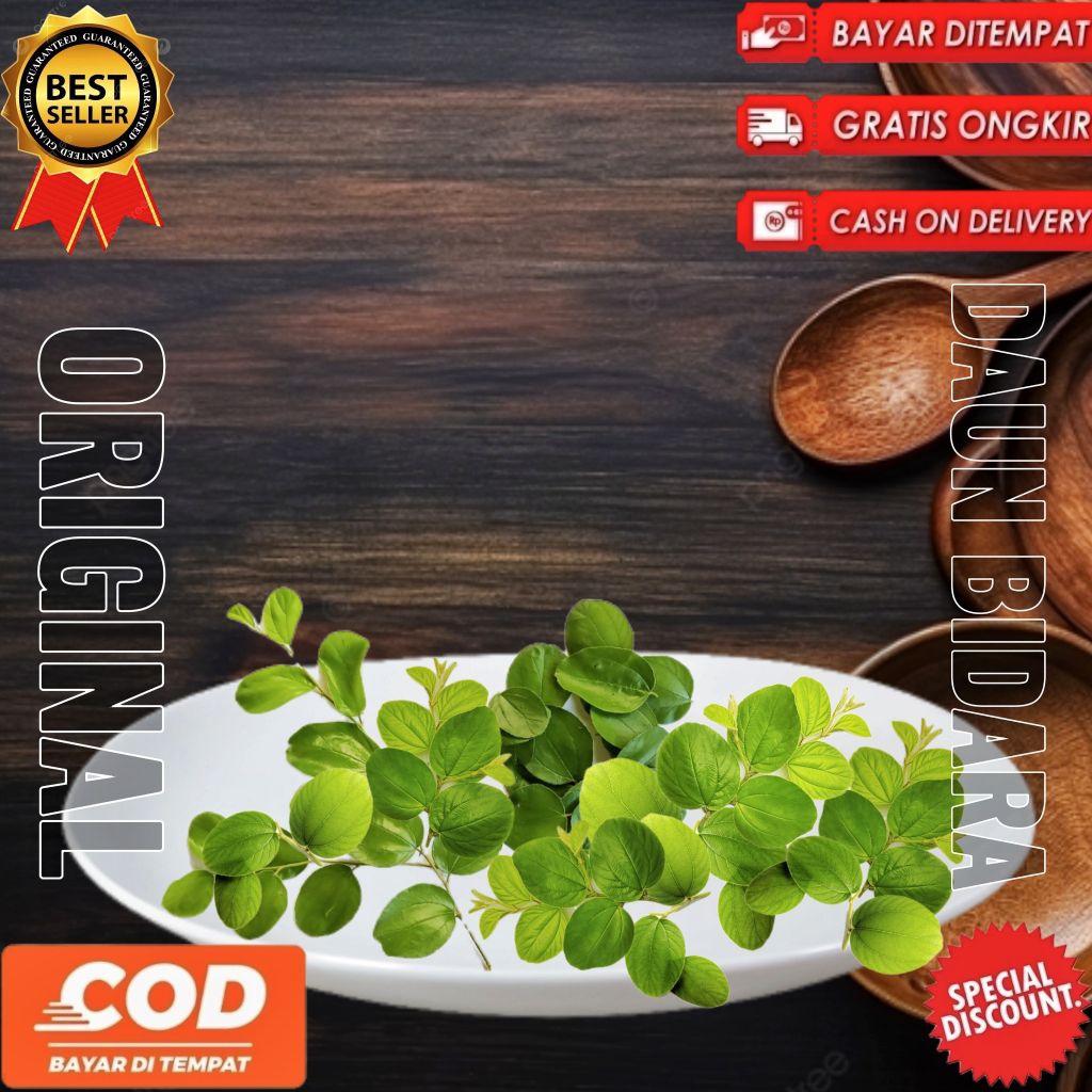 

Daun bidara arab segar fresh dipetik dadakan 250 Lembar