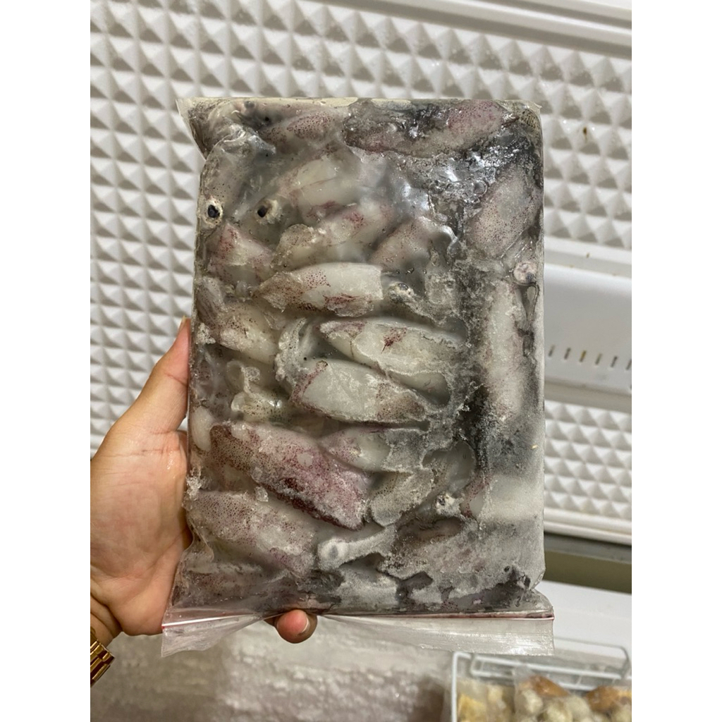 

cumi tinta hitam 500gram frozen