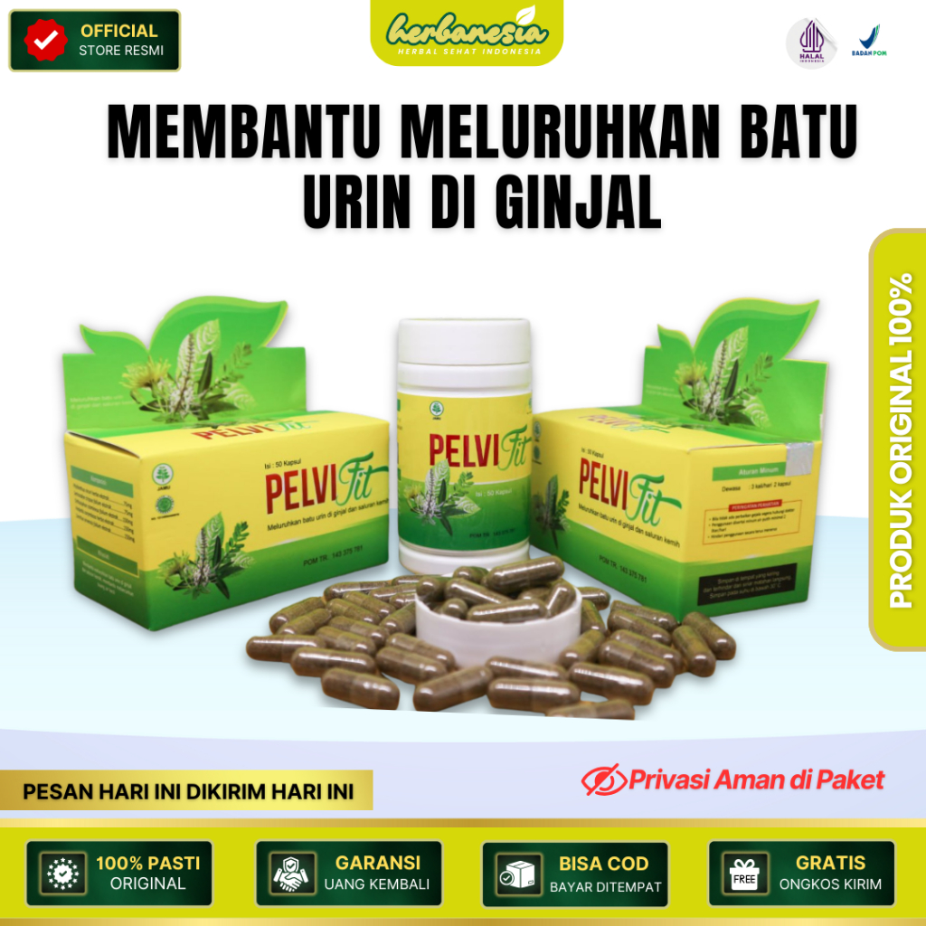 Pelvifit - Obat Herbal Batu Ginjal Isi 50 Kapsul
