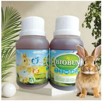 BIOBUN - Probiotik Vitamin Suplemen Kelinci Hias Anggora Fuzzy Lop Holland Netherland Dwarf Kelinci 