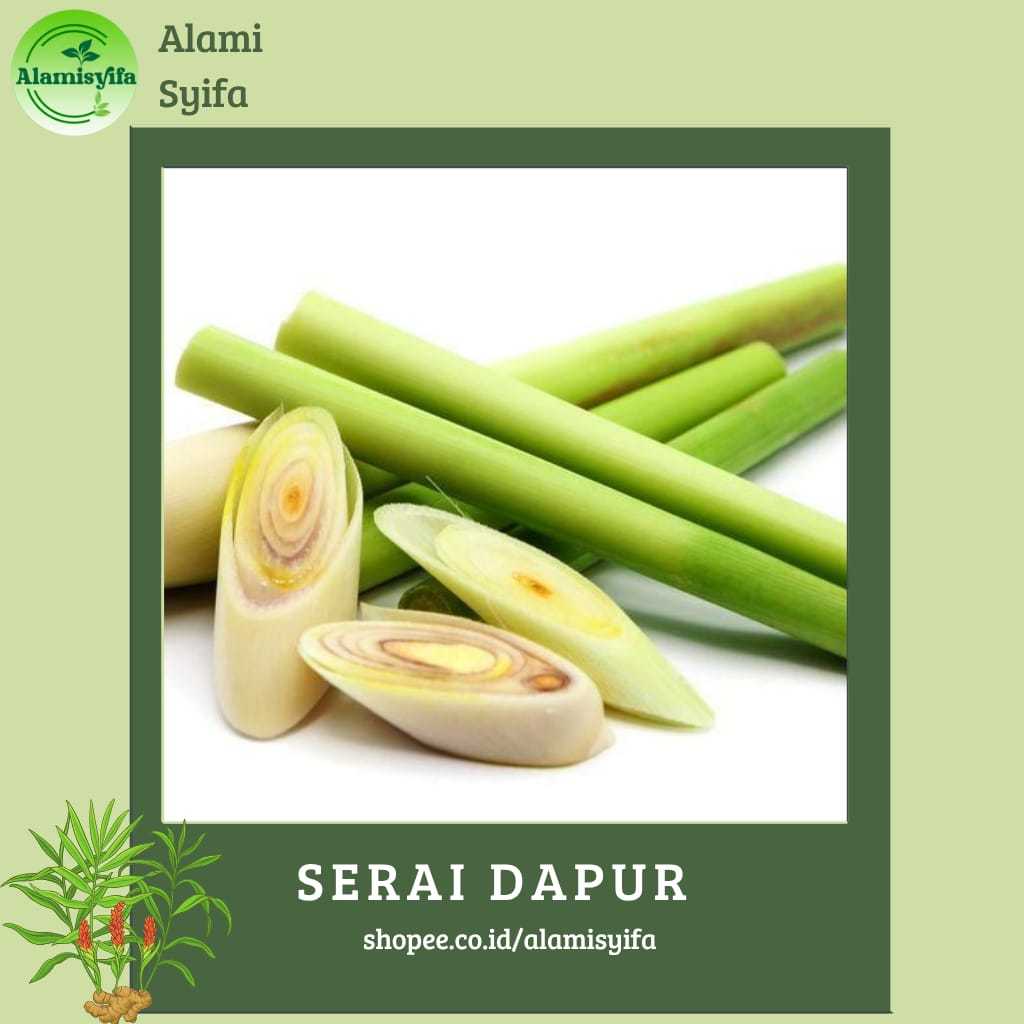 

Sereh Atau Serai Dapur Segar Lebih Wangi dan Fresh Berat 1 Kg