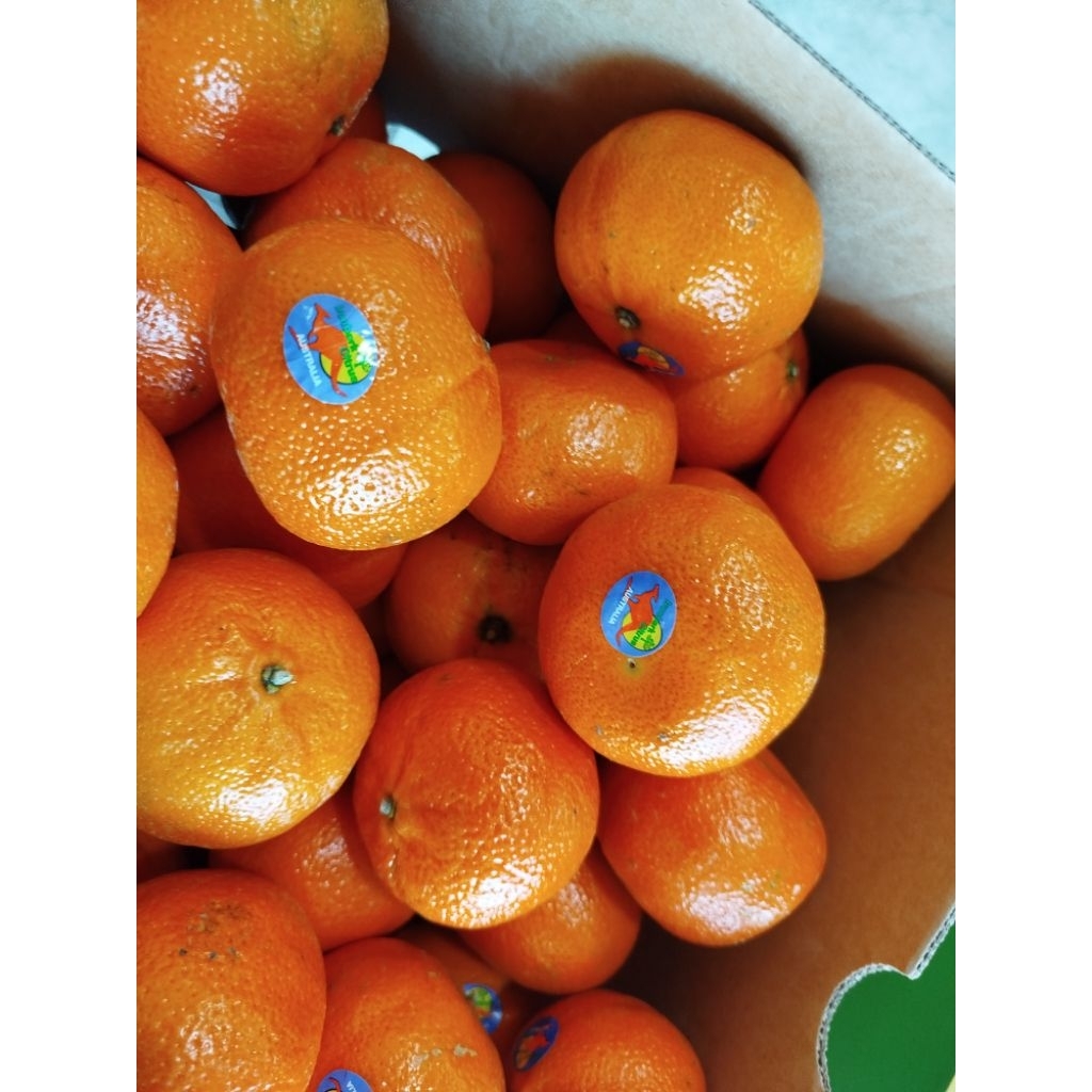 

Jeruk Honey Murcot AUS