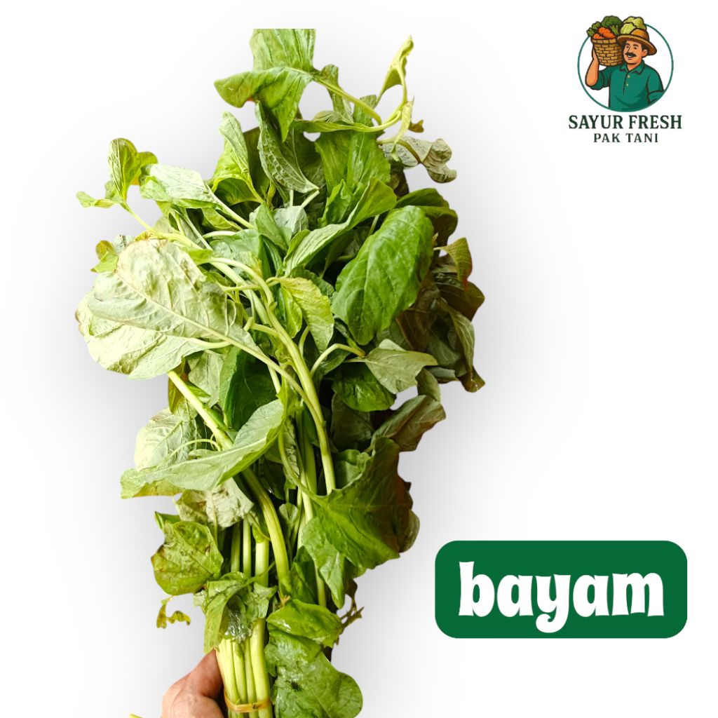 

bayam segar