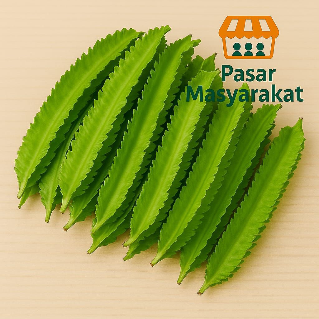 

Kecipir Sayur Sayuran 250 Gram Pasar.Masyarakat