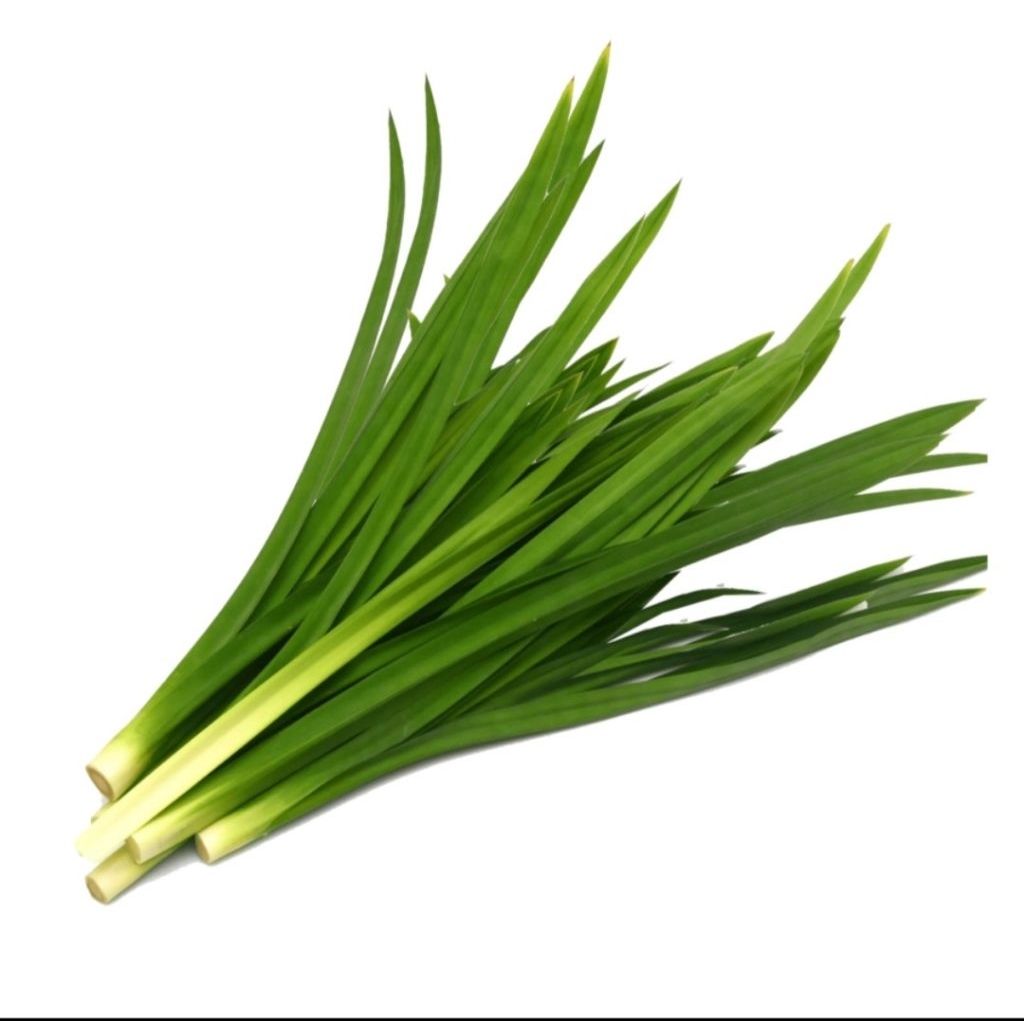 

daun pandan segar isi 10 siung