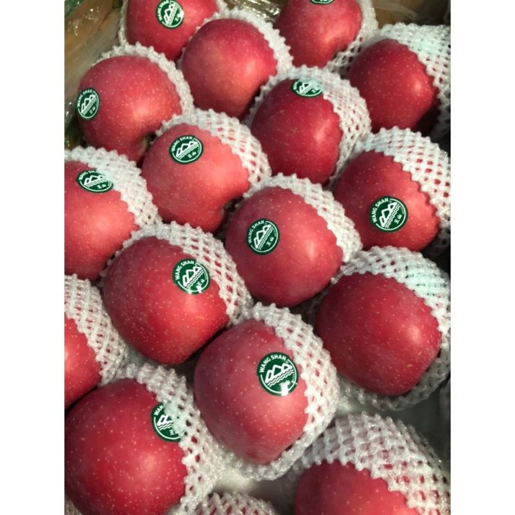 

apel fuji wangsan size 66 / kg