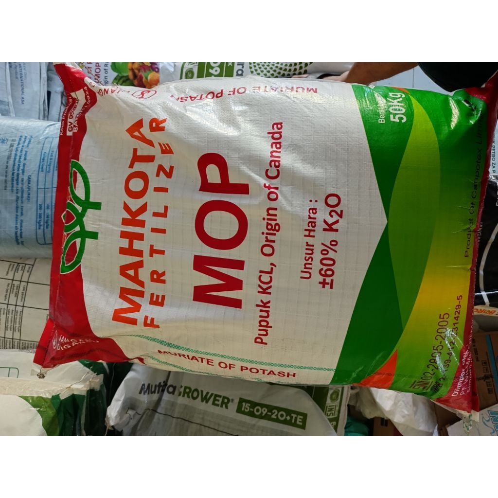 Pupuk KCL MAHKOTA CANADA Kemasan Pabrik 50 KG