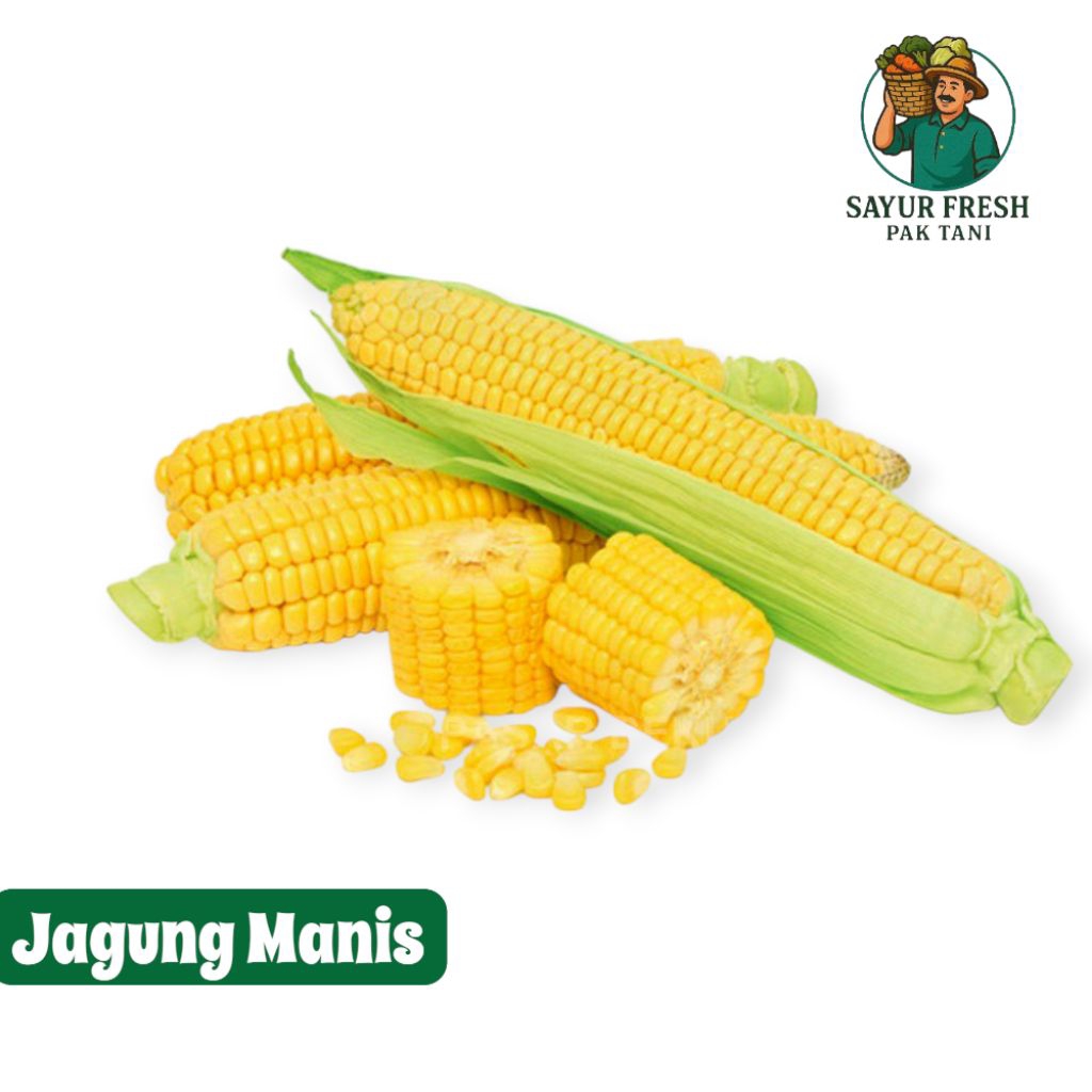 

Jagung Manis