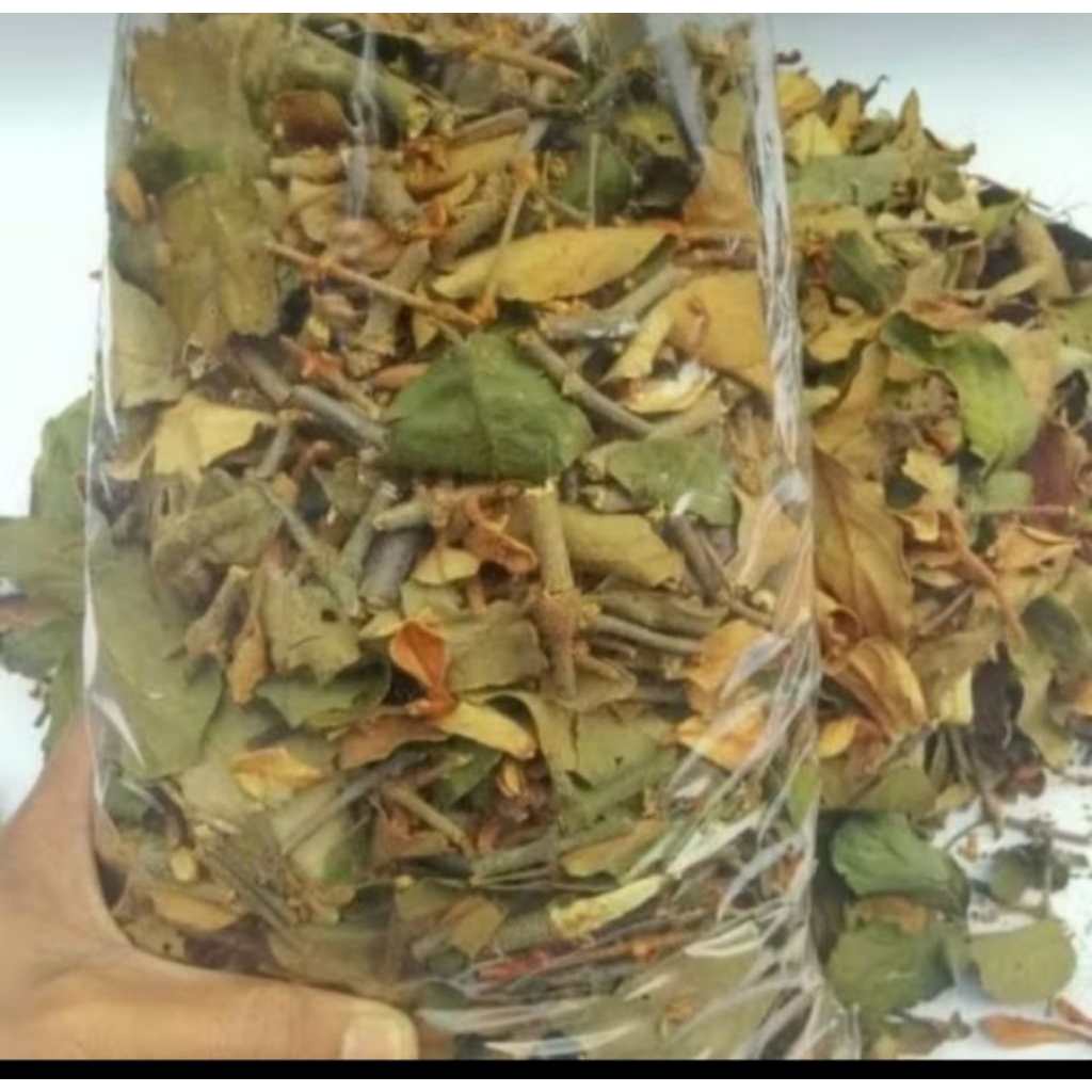 

Benalu kopi Kering 1Kg