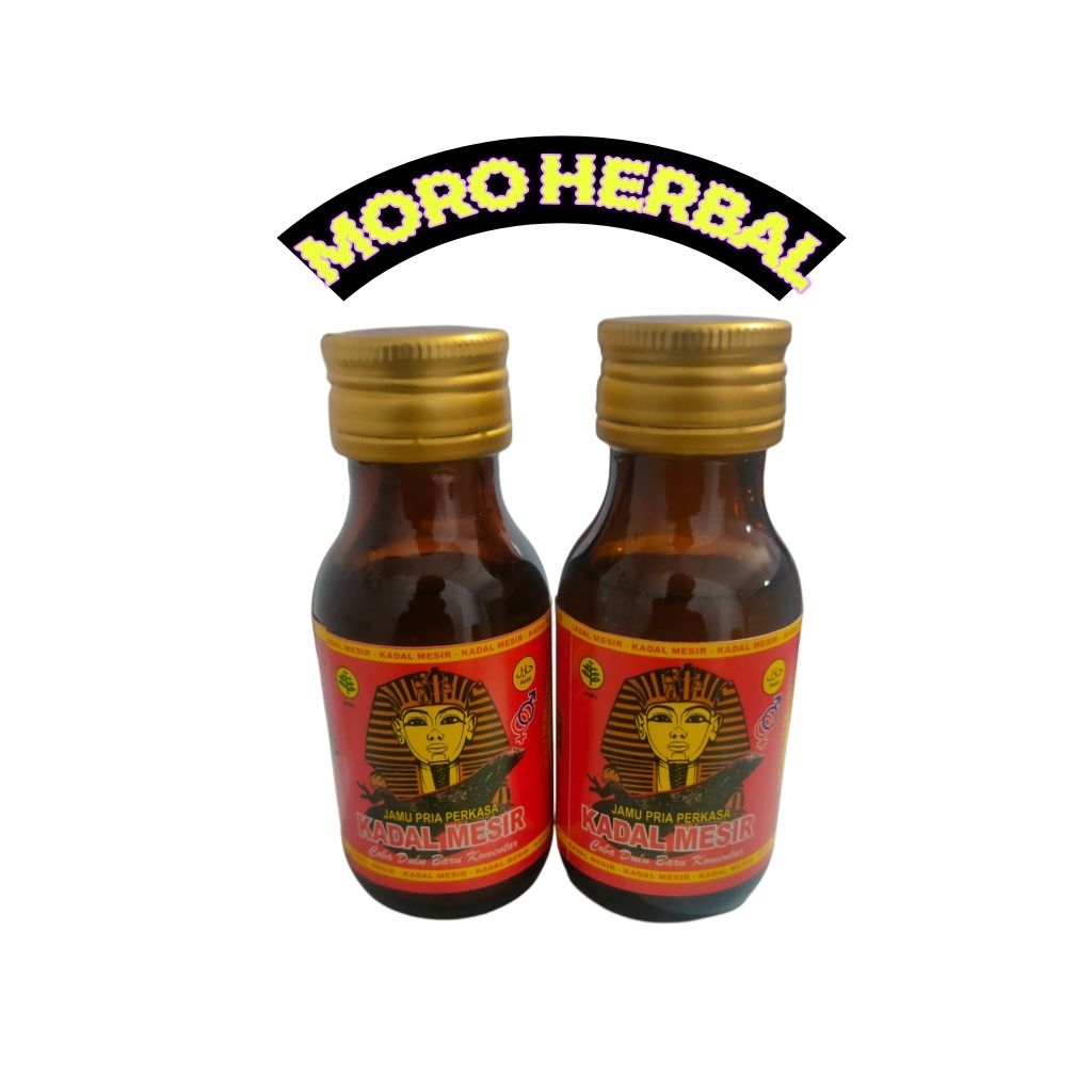 

jamu kadal mesir kecil original