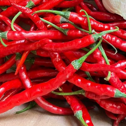 

cabai merah kriting fresh murah