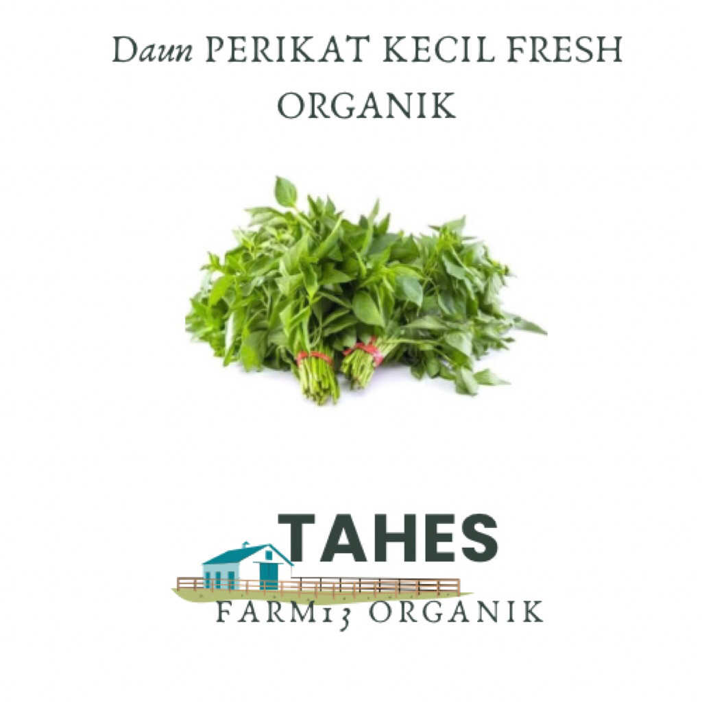 

Daun KemangI Per Ikat kecil Fresh