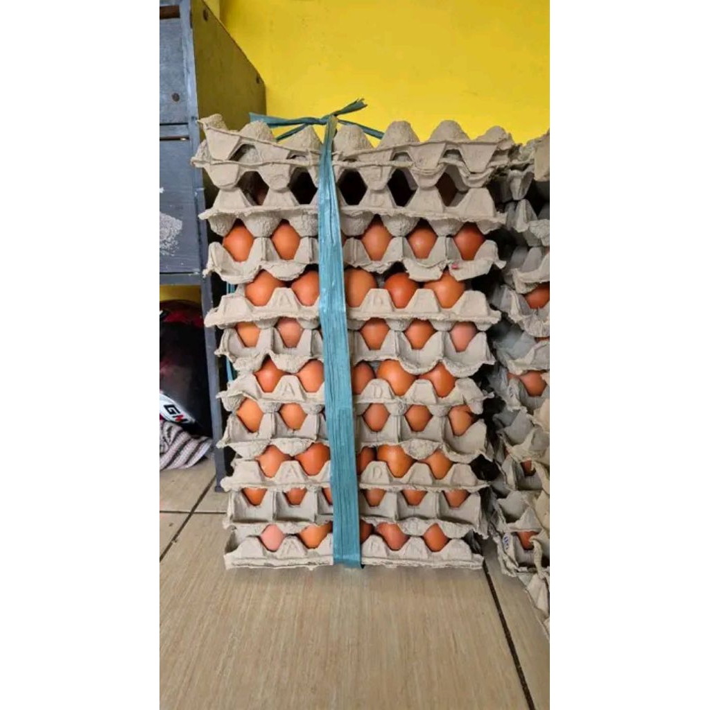 

TELOR AYAM NEGERI GRADE A isi 4 kg