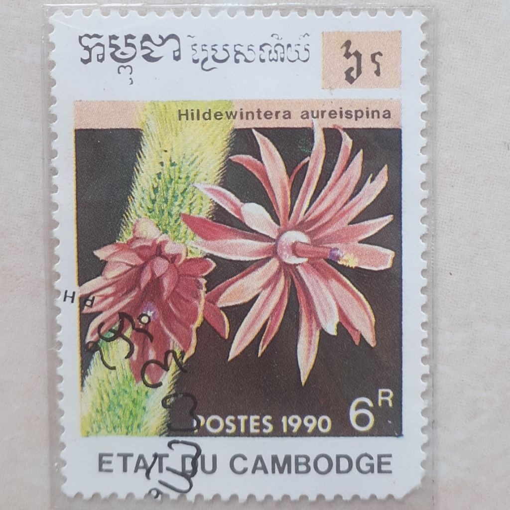 

Perangko Kamboja Cactus (1990) (Hildewintera aureispina) Tahun 1990