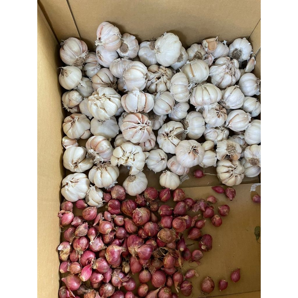 

paket campur bawangputih merah 1kg murah