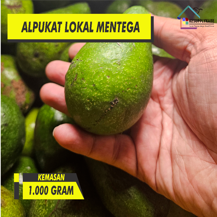 

alpukat lokal mentega berat 1 kg ( 1000 gr)