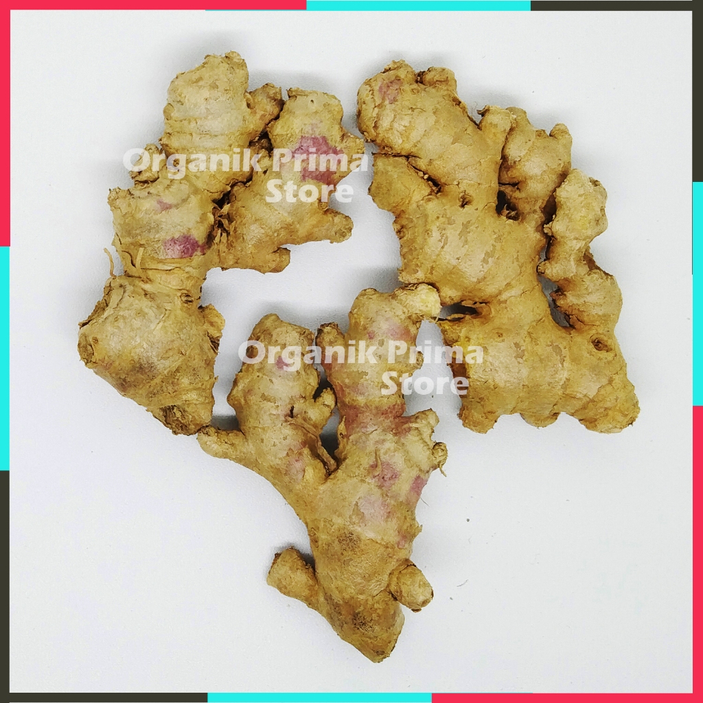 

Jahe Emprit Segar 100gr Asli Pedas dan Organik