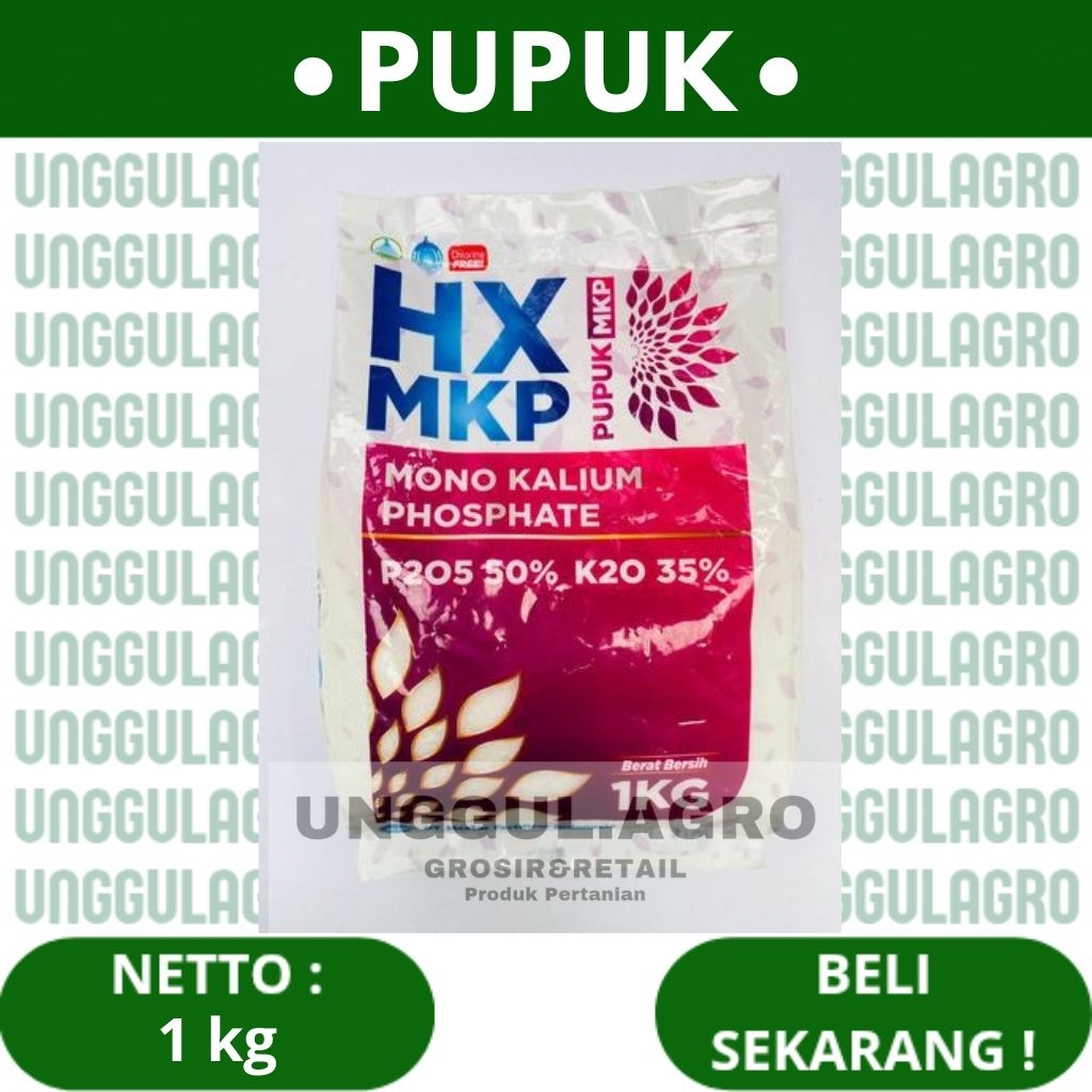 Pupuk mkp HX MKP 1kg pembesar&penambah bobot buah&umbi