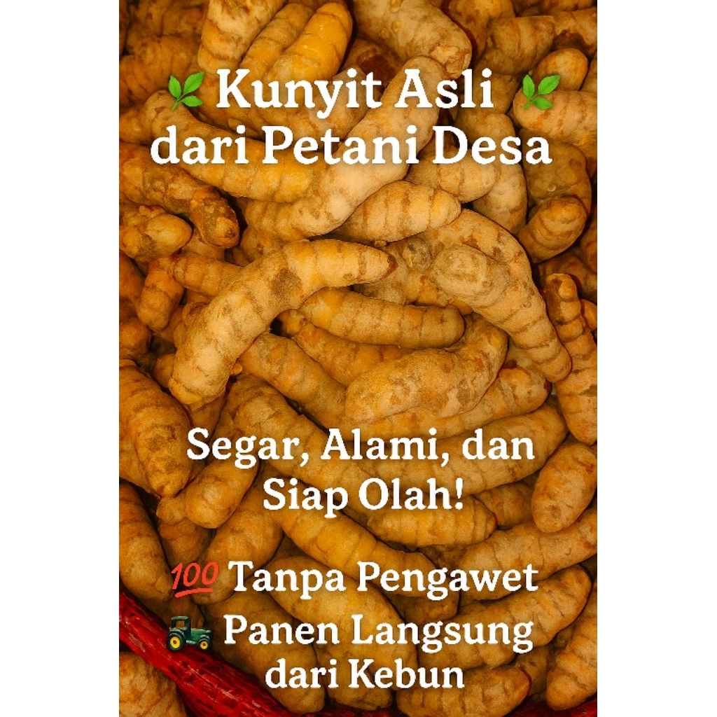 

kunyit Jari Kecil Sedang Segar 1Kg| Langsung dari Petani Wonogiri- Bisa untuk Jamu, Bumbu Masak, 100% Alami.