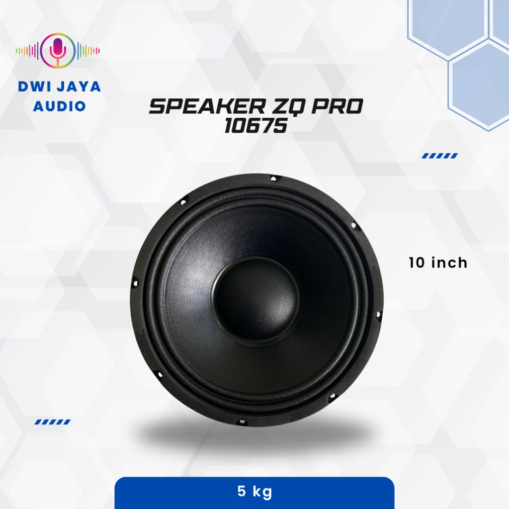 Speaker ZQPro 10675 | Spiker 10 inch