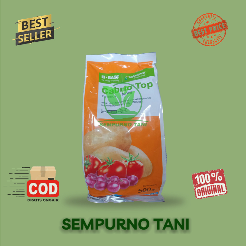 FUNGISIDA – CABRIOTOP 500 gram