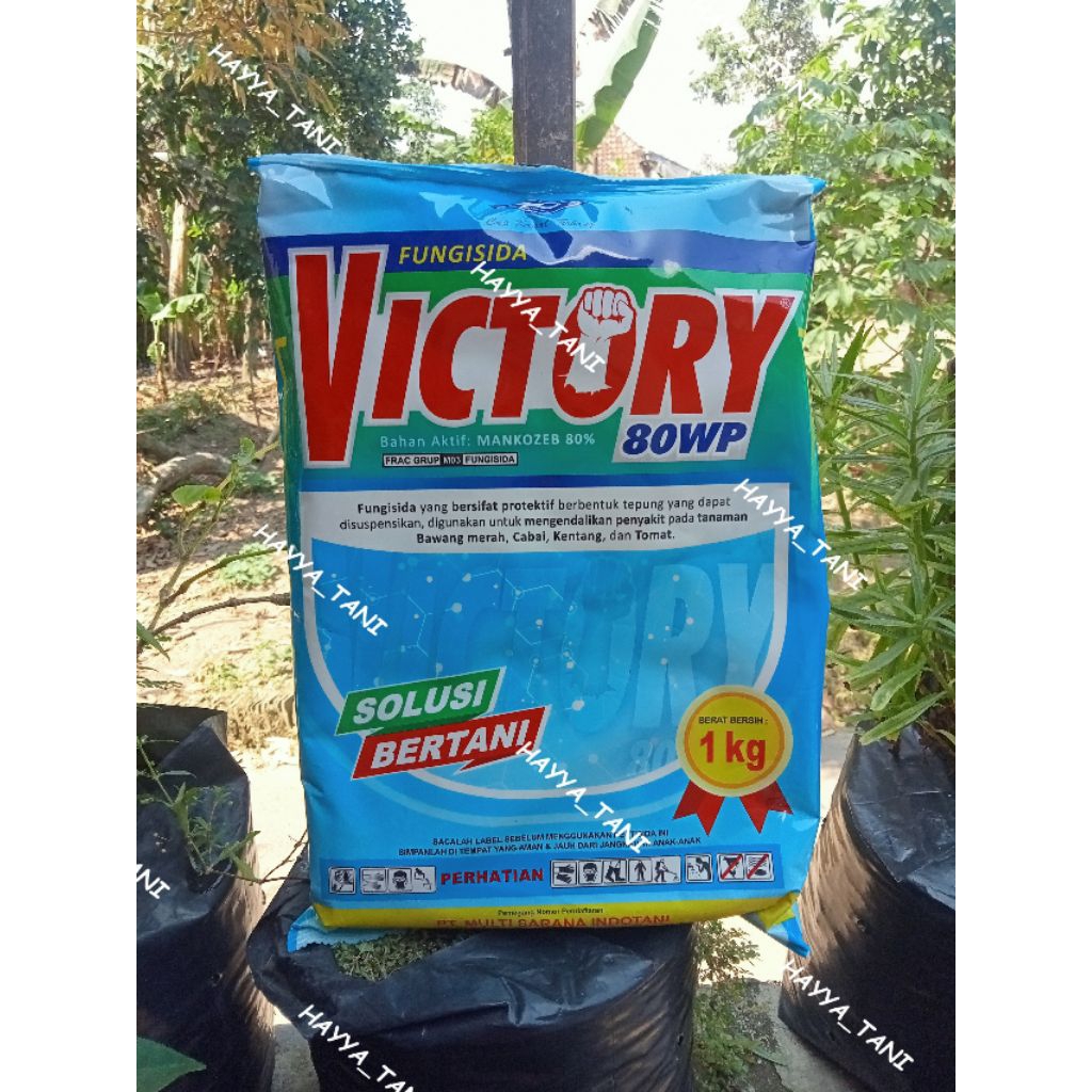 FUNGISIDA VICTORY 80WP