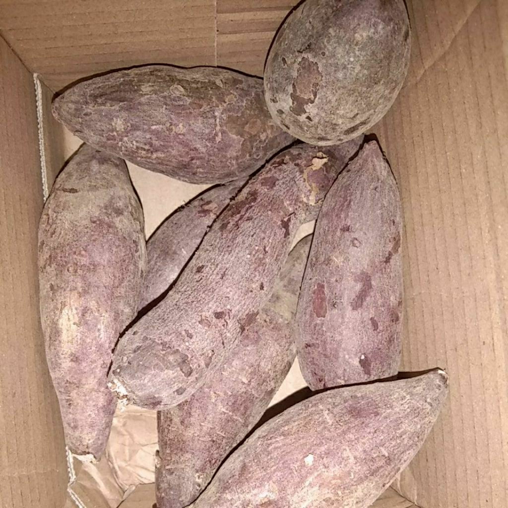 

ubi ungu 1kg