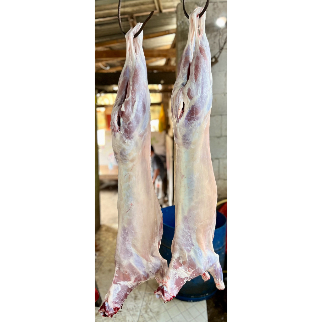 

daging kambing muda fresh
