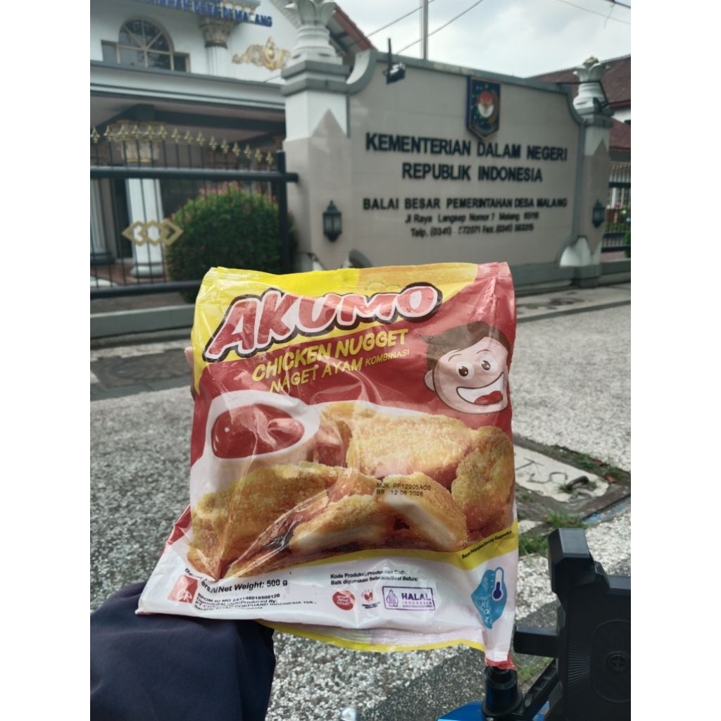 

nugget akumo