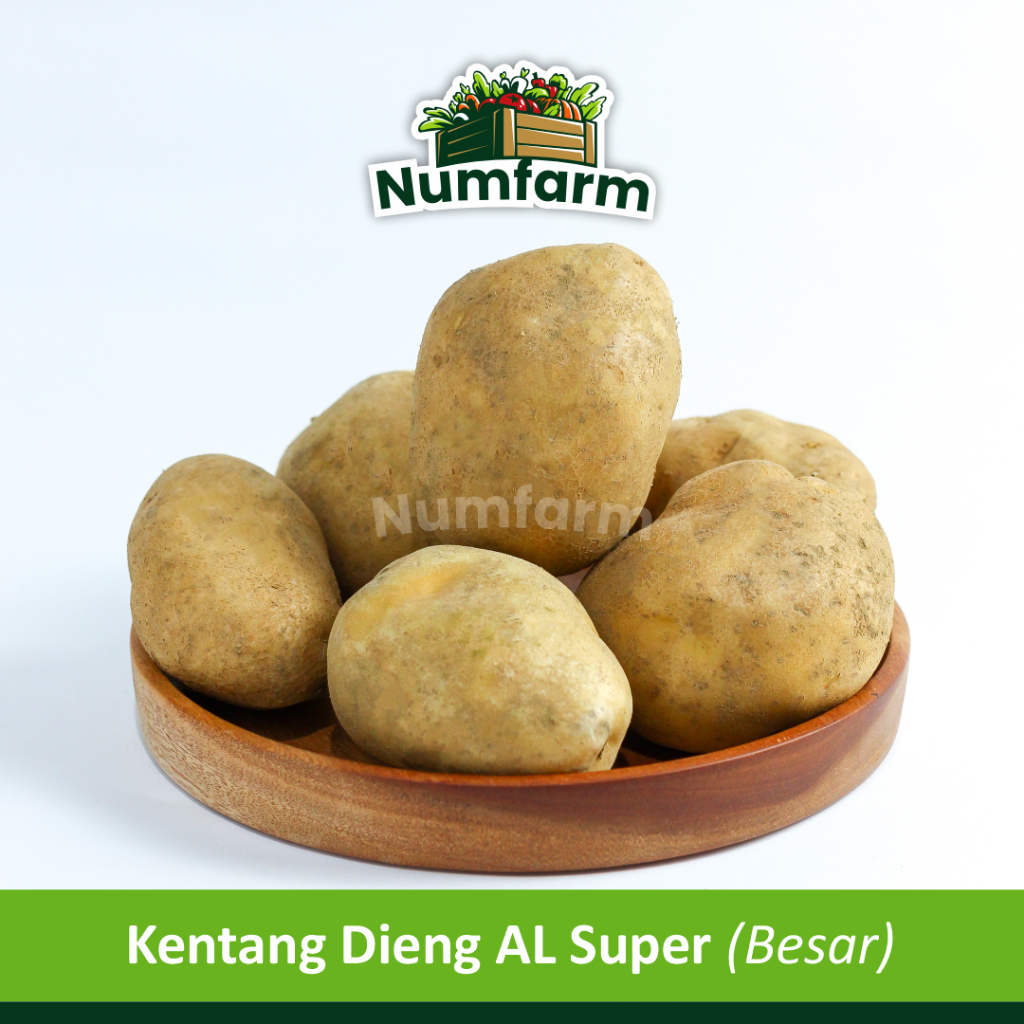 

Numfarm | Kentang Dieng AL Super (per 1 kg)