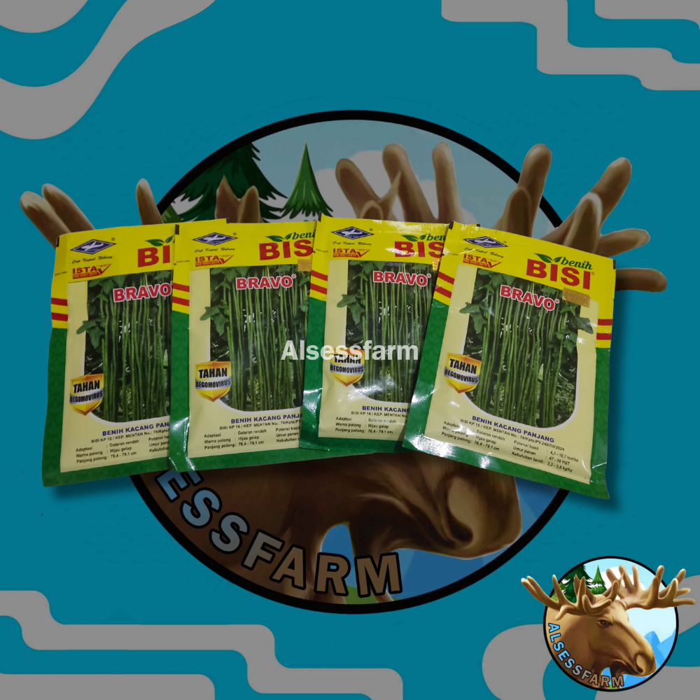 

benih kacang panjang Bravo 50 gram toleran virus