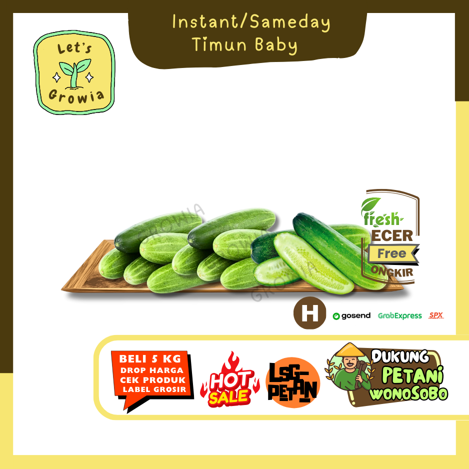 

Growia || Timun Baby -- Hasil Petani Langsung Ecer Sayur Gunung (H)