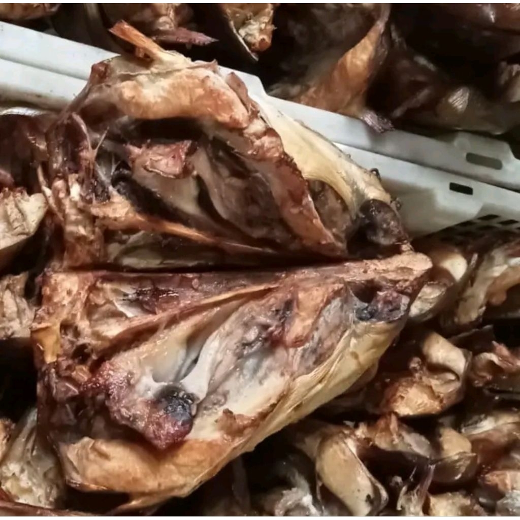 

kepala manyung segar