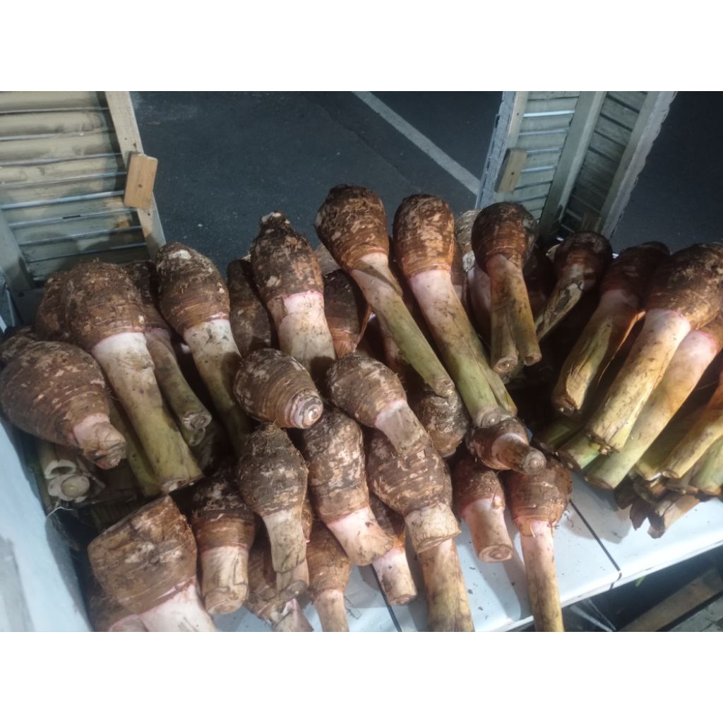 

TALAS BOGOR MURAH