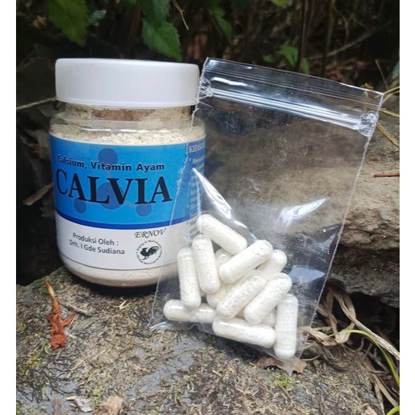 15 kapsul kalsium ayam . kalsium calvia . kalsium ernov . memaksimalkan pertumbuhan ayam