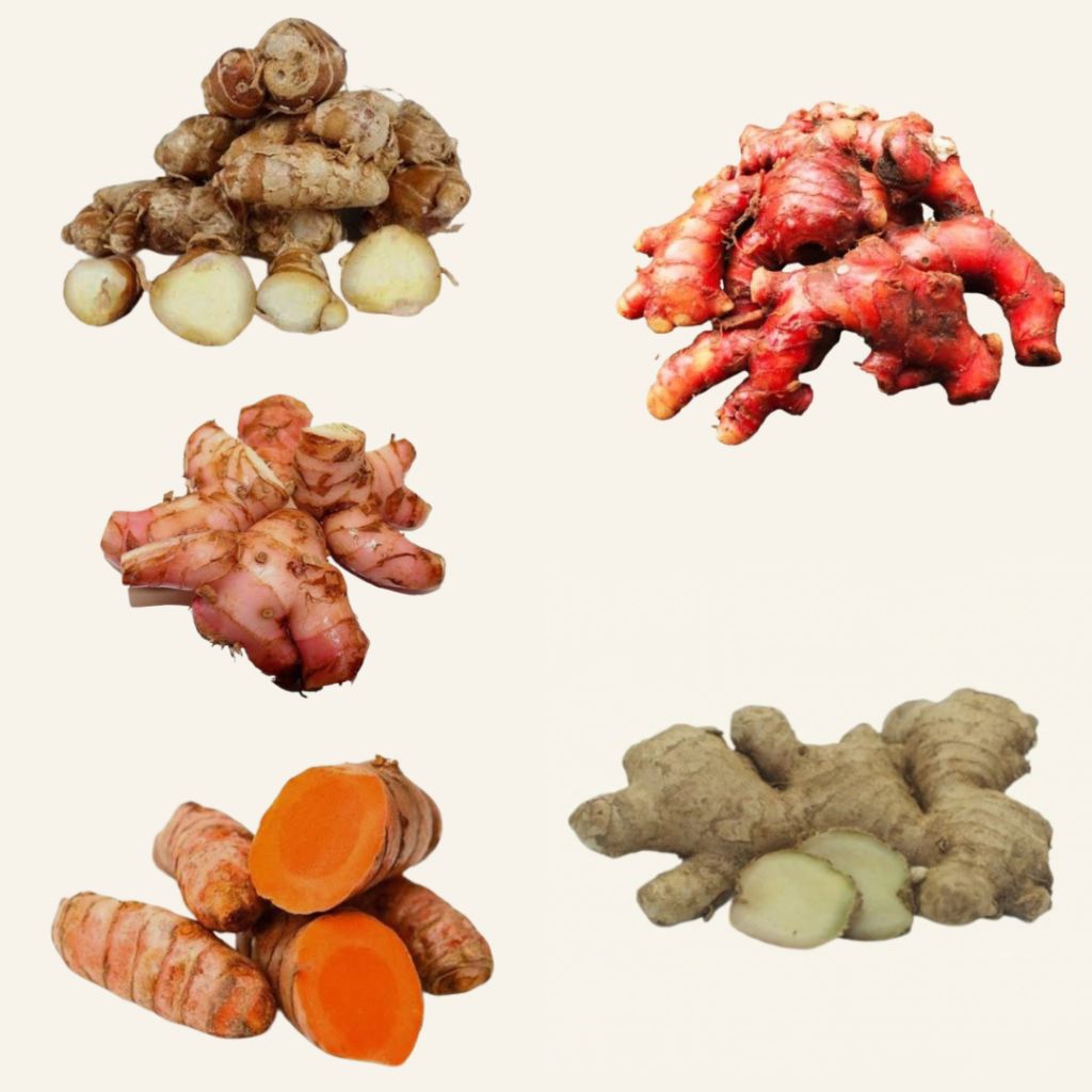 

Jahe / Jahe Merah / Kunyit / Kencur / Lengkuas 100 gr Segar dan Murah
