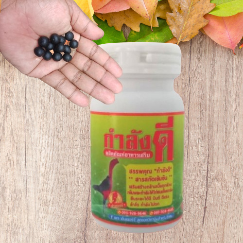 20 pill repack tonik ayam aduan . obat ayam import . Kamlang tonic import . obat menguatkan pukulan 