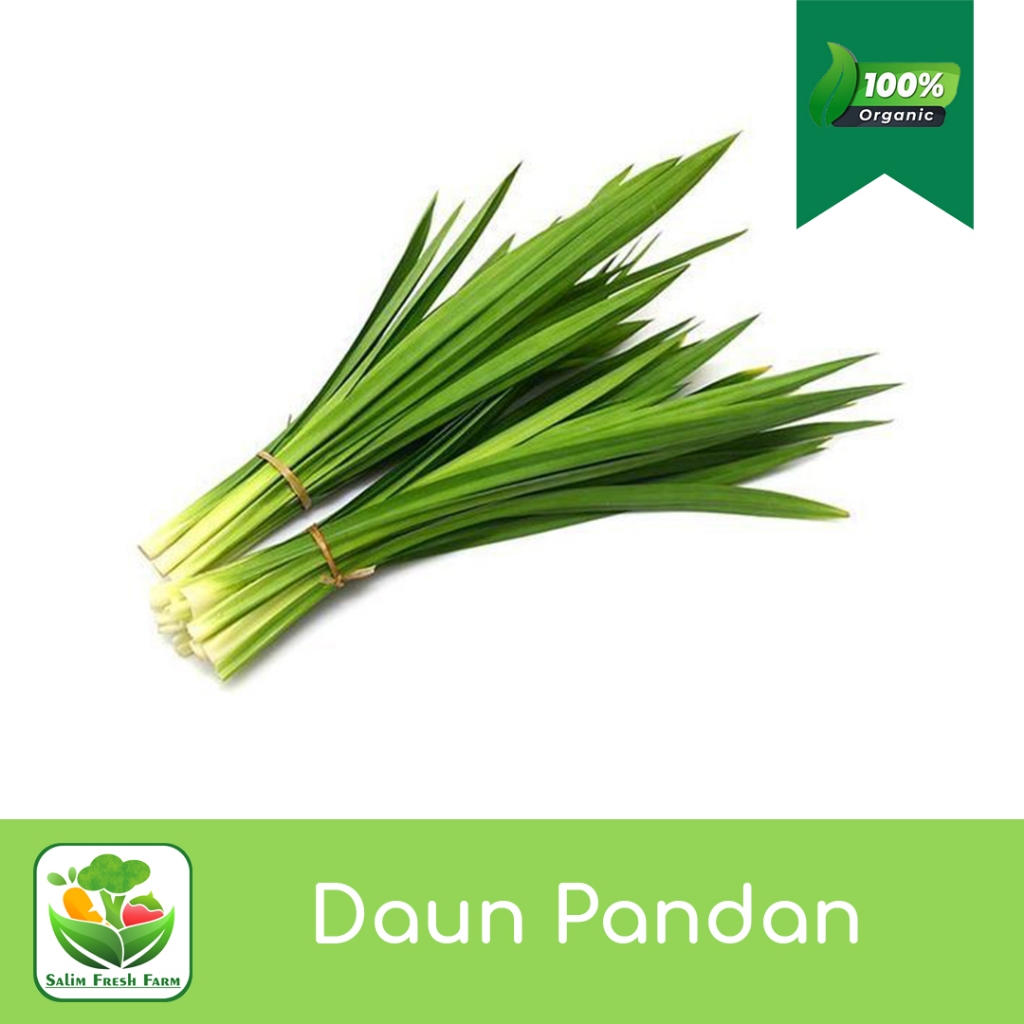 

Daun pandan 1 ikat 5 lembar / Daun pandan segar / Daun pandan wangi