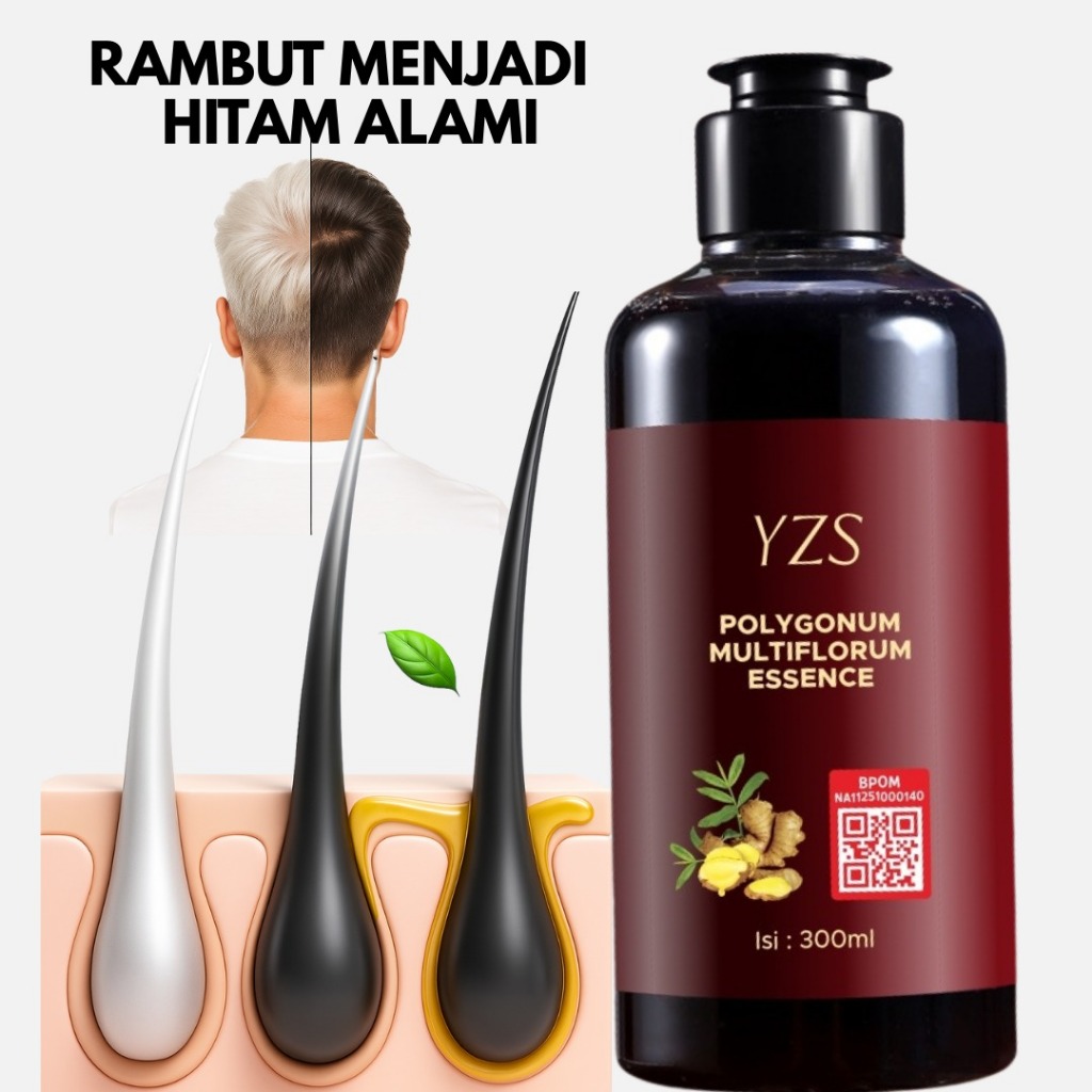 SHAMPOO UBAN POLYGONUM AMPUH ATASI RAMBUT BERUBAN ORIGINAL BPOM