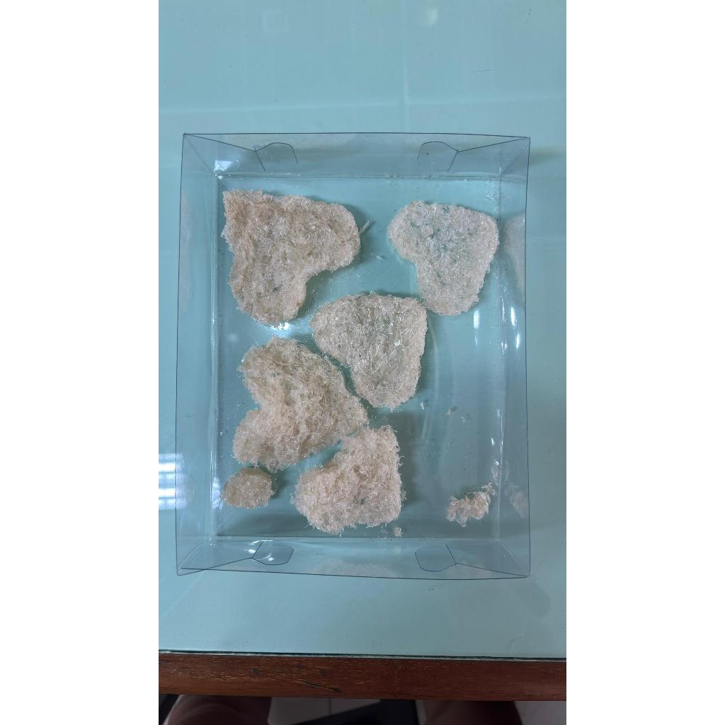 

Nestara - Sarang Burung Walet Yanping - Sarang Burung Walet Siap Saji - 25 gram