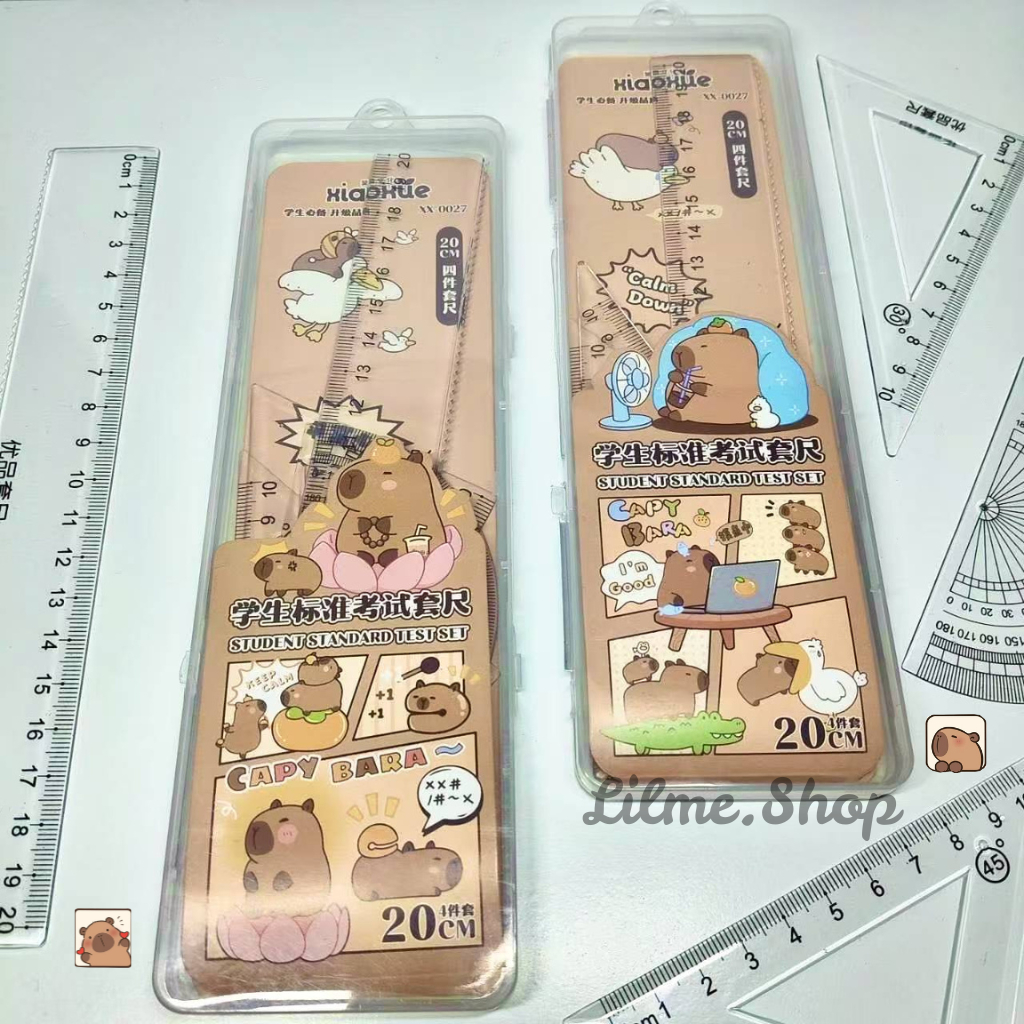 

[1 Set 4 Pcs] Penggaris Plastik Set Lengkap Lucu Aesthetic + Box Transparan Capybara