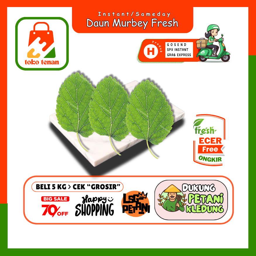 

Tokotenan // Daun Murbei Murberry Organik Top Antioksidan -- Sayur Gunung Ecer (H)