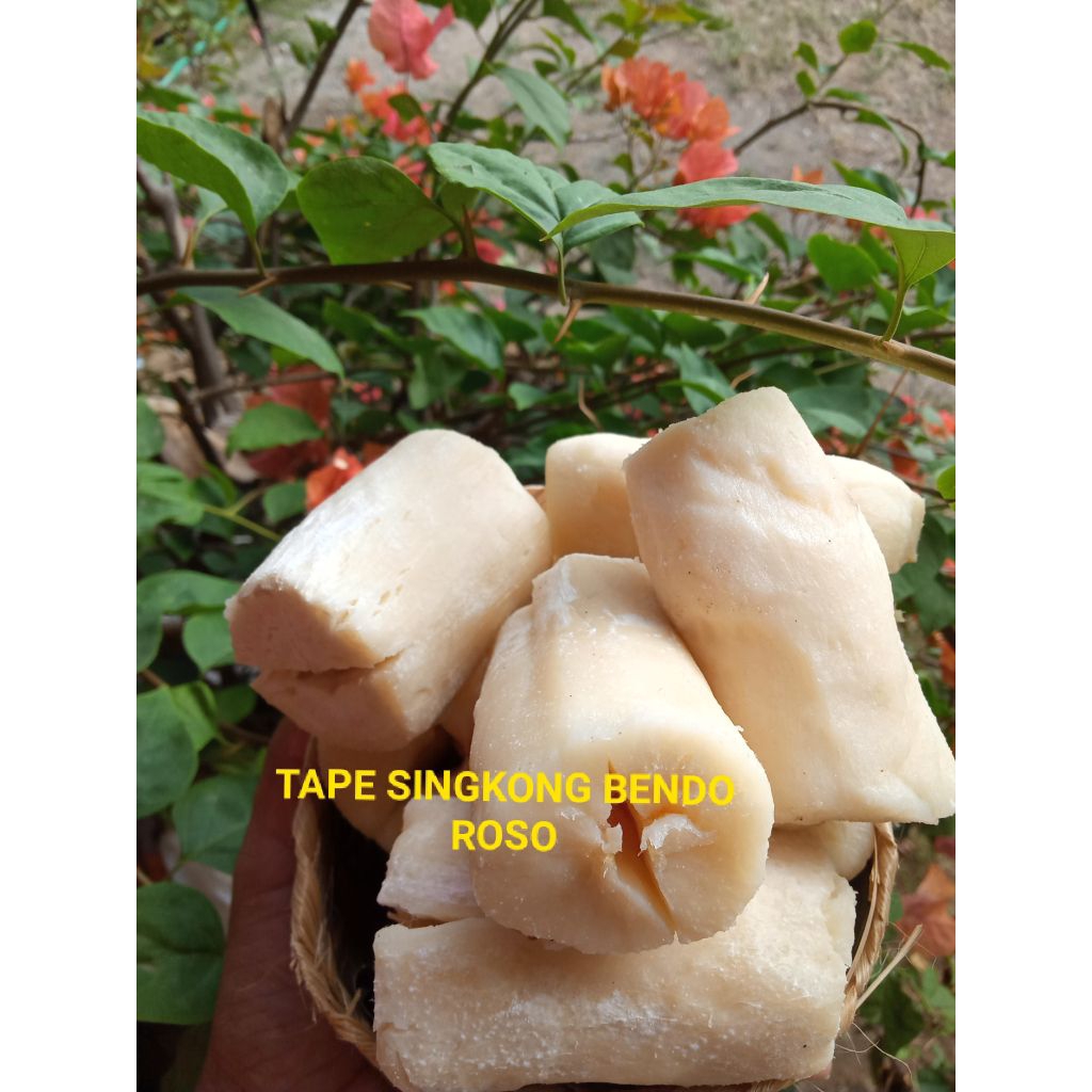 

TapeSingkong1kgPeyeumLegitMakananTradisional