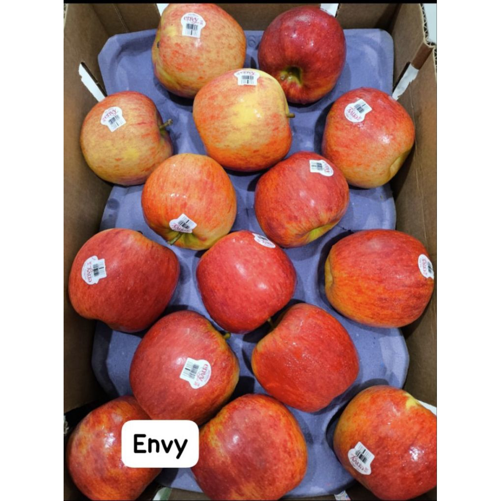 

apel envy khusus semarang